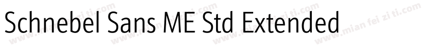 Schnebel Sans ME Std Extended Light字体转换